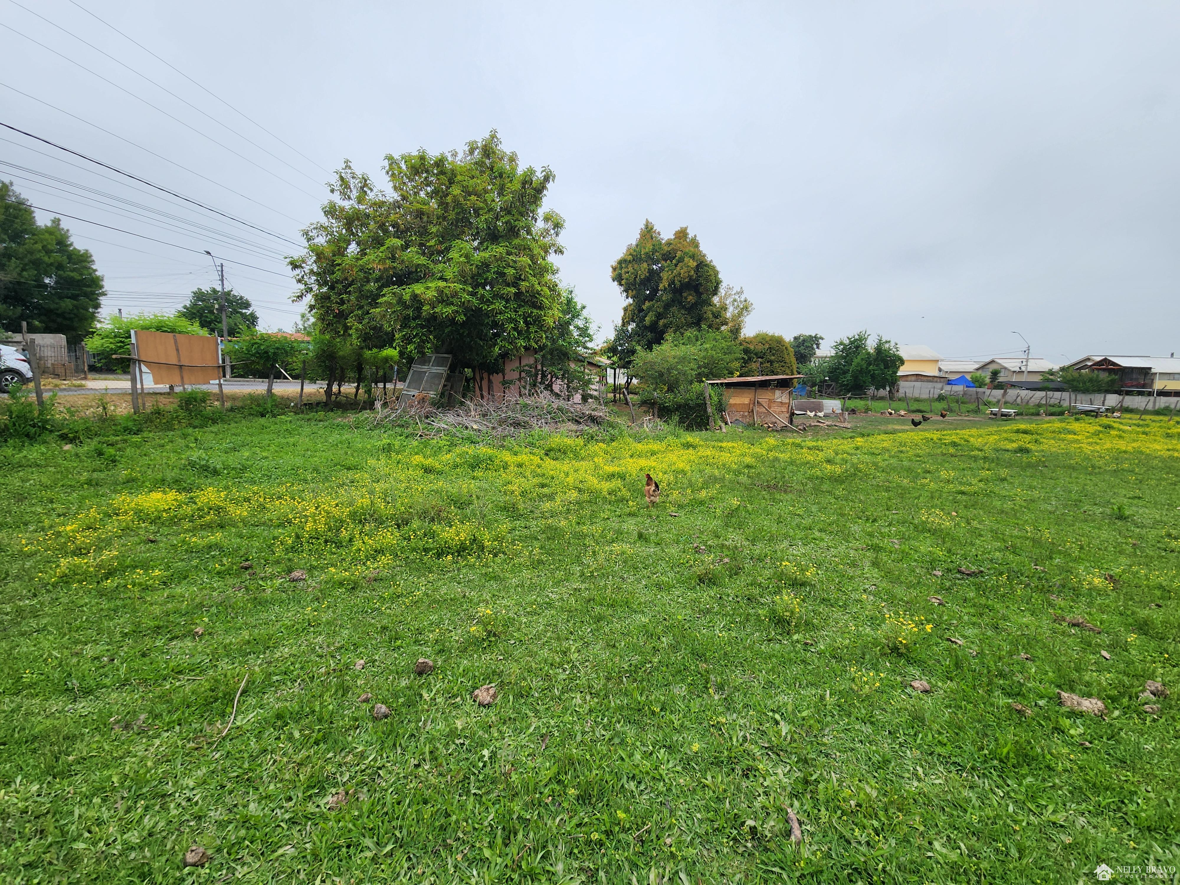 Se vende Terreno de 10.600 m2 en Machali